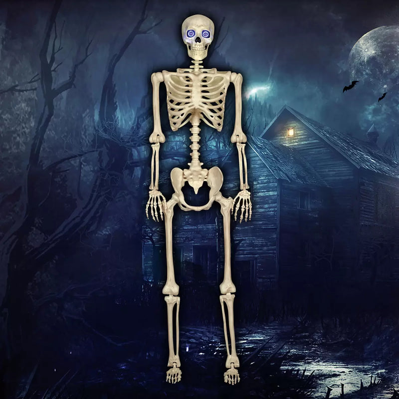 Halloween 5ft (1.5m) Skeleton With LED Eyes & Sounds British Hypermarket-uk