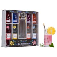 Gin Experience Gift Pack x 4