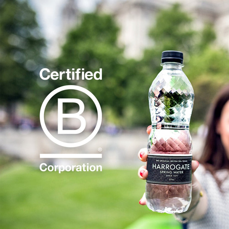 Harrogate Spring Water Still 500ml × 24 × 1