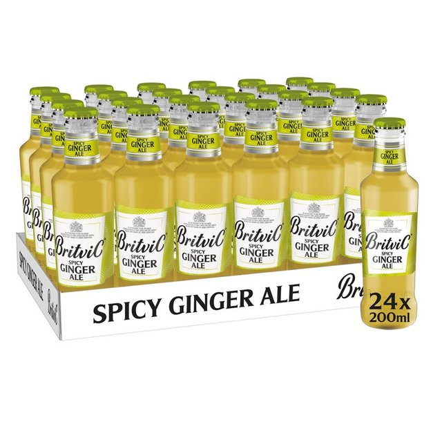 Britvic Spicy Ginger Ale Bottle 200ml, case of 24 Britvic