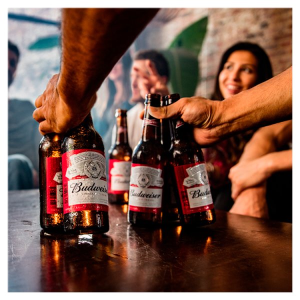 Budweiser Lager Beer Bottles 20x300ml