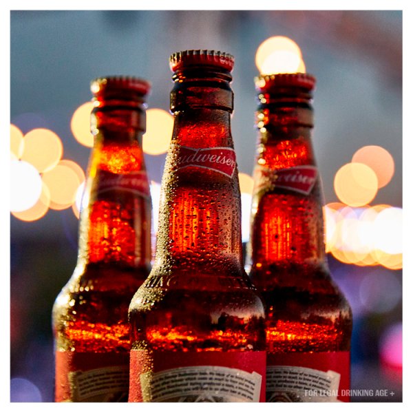 Budweiser Lager Beer Bottles 20x300ml