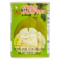 Tas Brand Green Jackfruit in Brine 565g (Case of 12) - British Hypermarket-uk