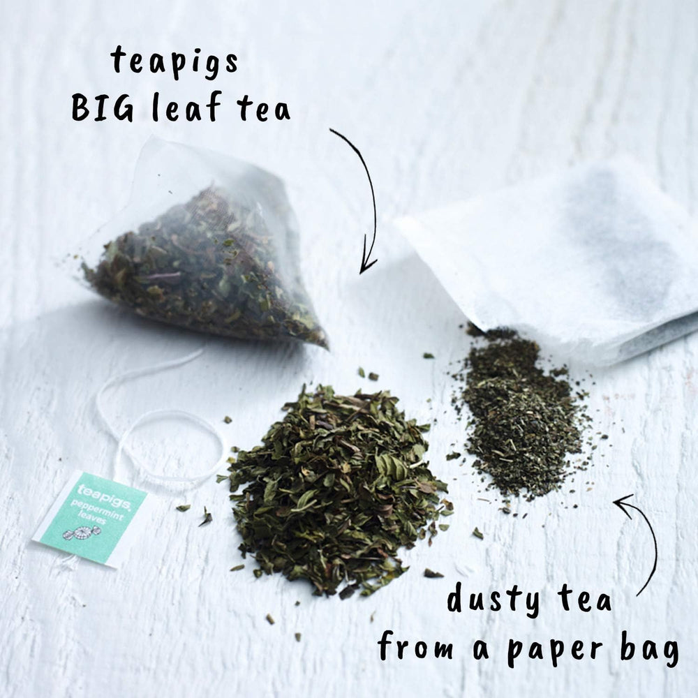 Teapigs Peppermint Leaves 50 Biodegradable Tea Temples 100g, Case of 6 Teapigs