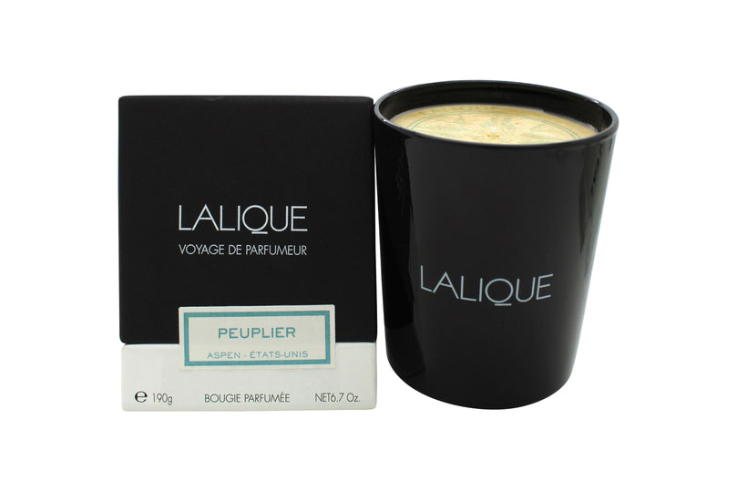 Lalique Candle 190g - Peuplier Aspen Lalique