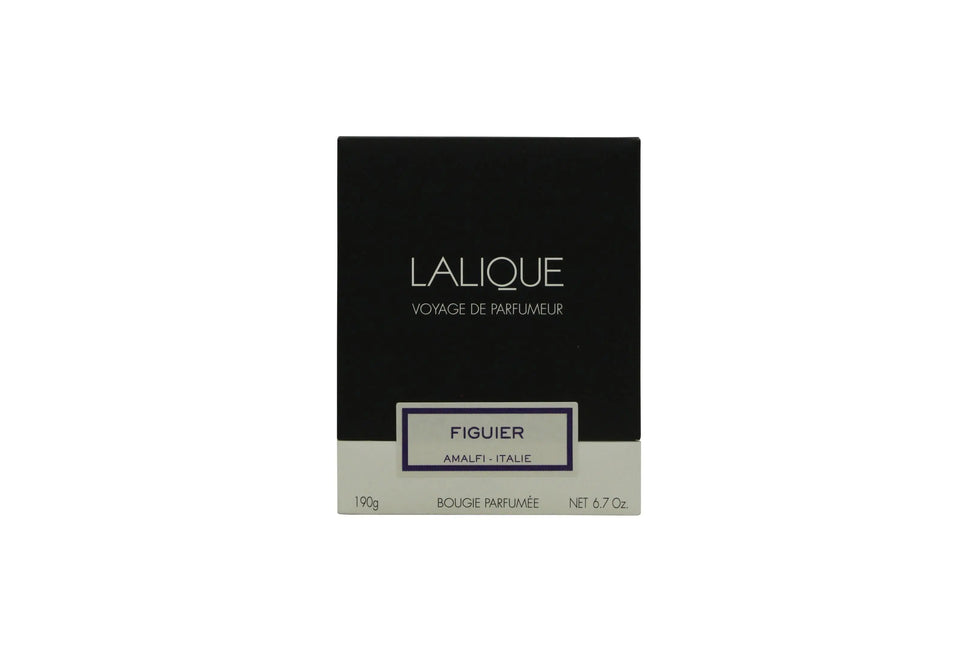 Lalique Candle 190g - Figuier Amalfi Lalique