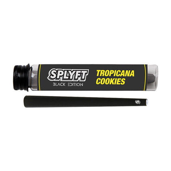 SPLYFT Black Edition Cannabis Terpene Infused Cones – Tropicana Cookies (BUY 1 GET 1 FREE) SPLYFT